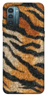 Чехол на Nokia G21 Tiger фото 1 из 1