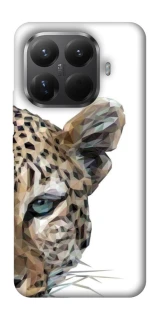 Чохол на Xiaomi 15T Pro Leopard Art v2 фото 1 з 1