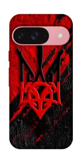 Чохол на Google Pixel 9 Герб v17 фото 1 з 1