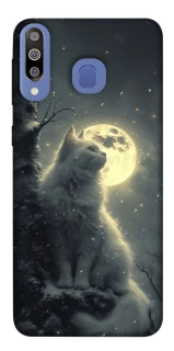 Чохол на Samsung Galaxy M30 Кіт під місяцем фото 1 з 1