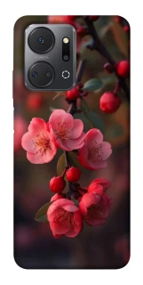 Чехол на Huawei Honor X7a Flowers v28 фото 1 из 1