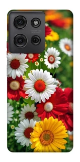 Чохол на Motorola Moto G75 Flowers v11 фото 1 з 1