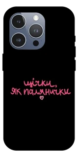 Чехол на Apple iPhone 16 Pro Max Щічки, як палянички фото 1 из 1