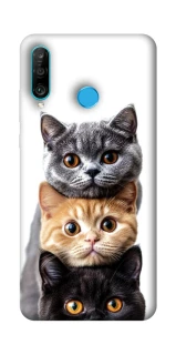 Чохол на Huawei P30 lite Гарні котики фото 1 з 1