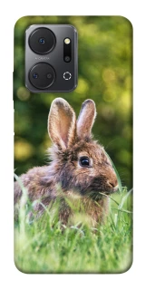 Чохол на Huawei Honor X7a Кролики фото 1 з 1