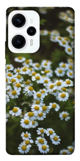Чехол на Xiaomi Poco F5 / Note 12 Turbo Ромашки v13 фото 1 из 1