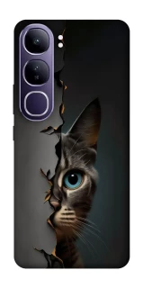 Чехол на Vivo Y300 Кот-подглядыватель v2 фото 1 из 1