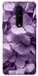 Чохол на OnePlus 8 Floral Symphony фото 1 з 1
