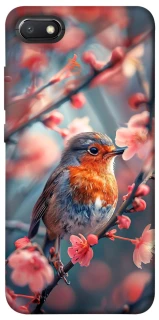Чохол на Xiaomi Redmi 6A Birdie фото 1 з 1