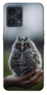 Чохол на Realme 9 4G / 9 Pro+ Совеня фото 1 з 1