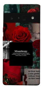 Чехол на Google Pixel 6 Pro Misanthropy фото 1 из 1