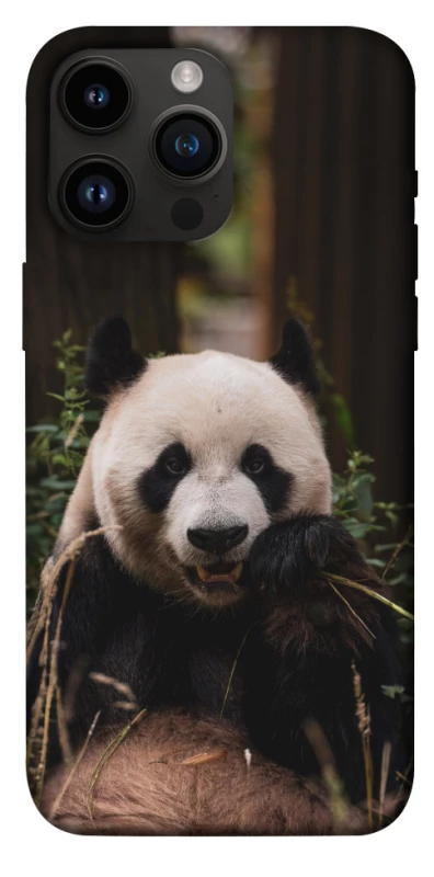 Чохол на Apple iPhone 14 Pro Max (6.7") Панда фото 1 з 1