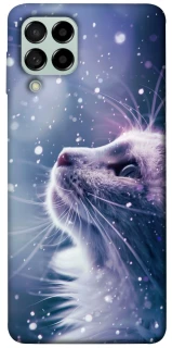 Чехол на Samsung Galaxy M53 5G Snow cat фото 1 из 1