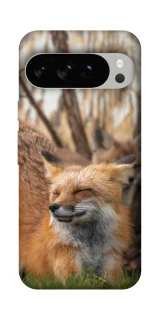 Чехол на Google Pixel 10 Pro Лиса фото 1 из 1