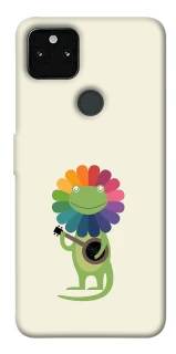 Чохол на Google Pixel 5A Rainbow lacosta фото 1 з 1