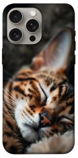 Чехол на Apple iPhone 15 Pro Max (6.7") Cat paws фото 1 из 1