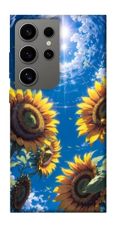 Чохол на Samsung Galaxy S24 Ultra Sunflowers фото 1 з 1