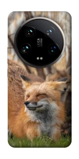 Чехол на Xiaomi 14 Ultra Лиса фото 1 из 1