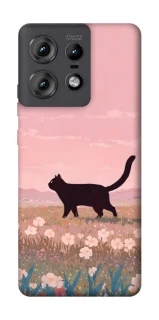 Чохол на Motorola Edge 50 Pro cat on a field фото 1 з 1