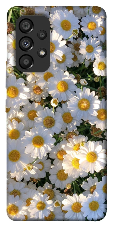 Чохол на Samsung Galaxy A53 5G Поле ромашок фото 1 з 1