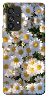 Чохол на Samsung Galaxy A53 5G Поле ромашок фото 1 з 1