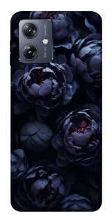 Чохол на Motorola Moto G54 Sunny Snowdrops фото 1 Чохол на Motorola Moto G54 Sunny Snowdrops фото 1 з 1