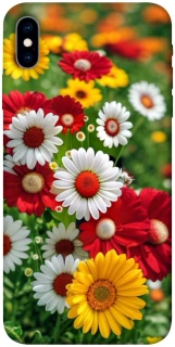 Чохол на Apple iPhone X (5.8") Flowers v11 фото 1 з 1