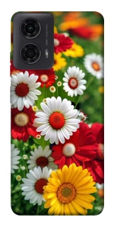 Чохол на Motorola Moto G04 Flowers v11 фото 1 з 1