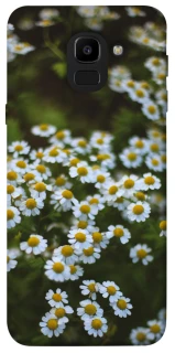 Чехол на Samsung J600F Galaxy J6 (2018) Ромашки v13 фото 1 из 1