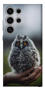 Чохол на Samsung Galaxy S25 Ultra Совеня фото 1 з 1