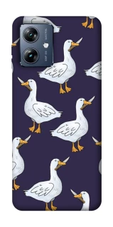 Чохол на Motorola Moto G54 Power Гуси з претензією фото 1 з 1