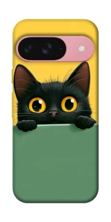 Чохол на Google Pixel 9 Black cat v2 фото 1 з 1