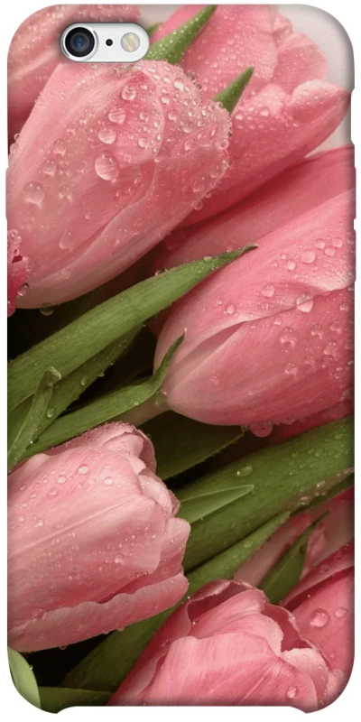 Чохол на Apple iPhone 6/6s plus (5.5") Beauty фото 1 з 1