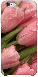 Чохол на Apple iPhone 6/6s plus (5.5") Beauty фото 1 з 1