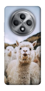 Чохол на Oppo Reno 12 F 4G Лама фото 1 з 1