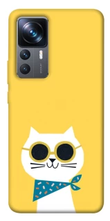 Чехол на Xiaomi 12T / 12T Pro Кот-муркот фото 1 из 1