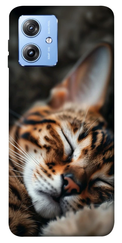 Чохол на Motorola Moto G84 Cat paws фото 1 з 1