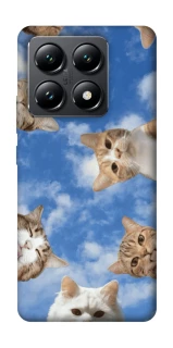 Чохол на Xiaomi 14T Сats фото 1 з 1