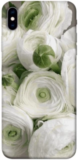 Чохол на Apple iPhone XS Max (6.5") Mornings фото 1 з 1