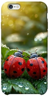 Чохол на Apple iPhone 6/6s (4.7") Flowers v23 фото 1 з 1