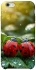Чохол на Apple iPhone 6/6s (4.7") Flowers v23 фото 1 з 1