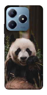 Чехол на Realme C63 Панда фото 1 из 1