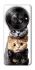 Чохол на ZTE Nubia Focus Гарні котики фото 1 з 1