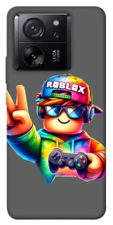 Чехол на Xiaomi 13T Pro Roblox Gamer Peace фото 1 из 1