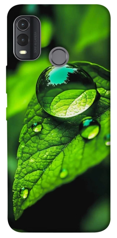 Чохол на Nokia G11 Plus Flowers v16 фото 1 з 1