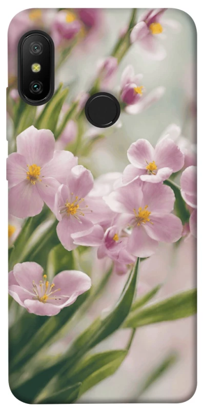 Чохол на Xiaomi Mi A2 Lite / Xiaomi Redmi 6 Pro Spring фото 1 з 1