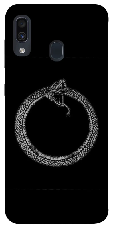 Чехол на Samsung Galaxy A20 / A30 Ouroboros фото 1 Чехол на Samsung Galaxy A20 / A30 Ouroboros фото 1 из 1