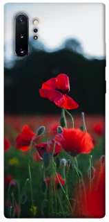 Чехол на Samsung Galaxy Note 10 Plus Мак фото 1 из 1