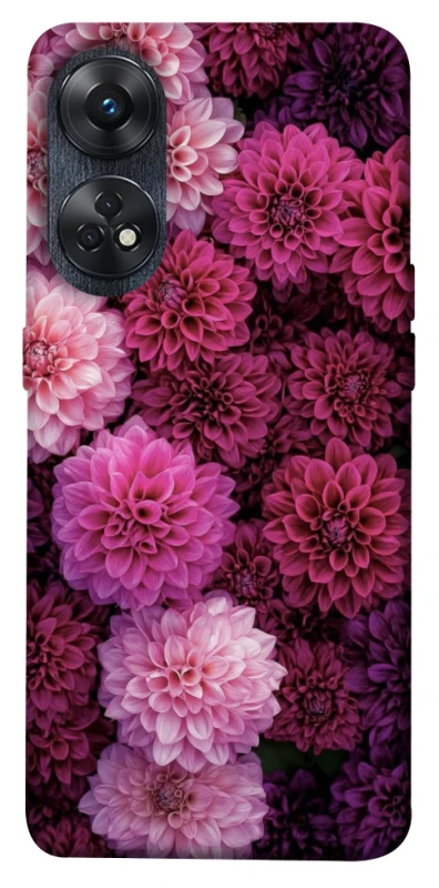 Чохол на Oppo Reno 8T 4G Garden1 фото 1 з 1