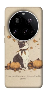 Чехол на Xiaomi 15 Ultra Autumn vibes ver.3 фото 1 Чехол на Xiaomi 15 Ultra Autumn vibes ver.3 фото 1 из 1